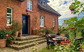 Baltic Home Dunya